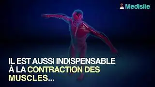 R&eacute;gime sans sel : 5 dangers m&eacute;connus