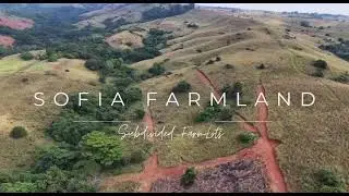 Mountain view and Sea View Subdivided Farmlot at BAGAC BATAAN
