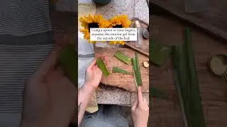 How to make a Cooling Aloe Gel 🌿