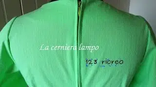 La cerniera lampo di un tubino - Zip