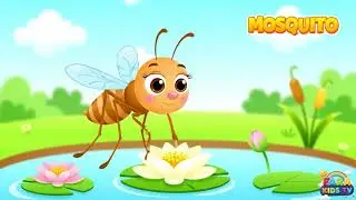 Mosquitoes for Kids 🦟 | Why Do Mosquitoes Buzz and Bite? | Insect Facts | FARA KIDS TV #MosquitoFact