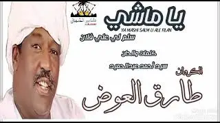 طارق العوض _ يا ماشي سلم لي علي فلان | كلمات والحان_ سيد احمد عبدالحميد