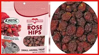 Exotic Nutrition Dried Rose Hips (3 oz.) - Healthy Natural Treat - Chinchillas, Guinea Pigs, Rabbits