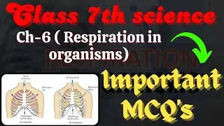 class 7th science chapter 6 respiration in organisms MCQ | respiration in organisms Mcq