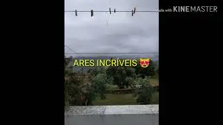 Venham conhecer aldeia das dez