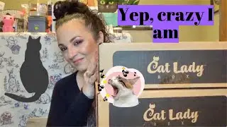 a meowzing subscription box-Cat Lady box
