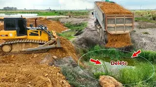 Expert Operating Of SHANTUI Dozer Pushing Stone Building New Foundation Road & Dump Truck Spreading