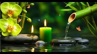 Deep Relaxing Zen Music with Nature Sounds 🌿 Peaceful Water, Soft Light & Birdsong | Stress Relief.