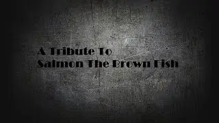 A Tribute To Salmon The Brown Fish