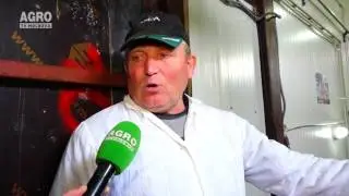 Fermă de vaci la Năv&icirc;rneț, model European