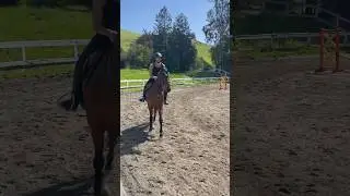Working on the core muscles with my boy #horse #equestrian #coremuscles