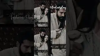 beautiful couple status for whatsapp 🥰