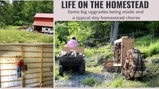 Life update: Big upgrades to our homestead and a typical day in West Virginia homestead chores