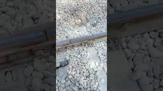 #tracks #joints