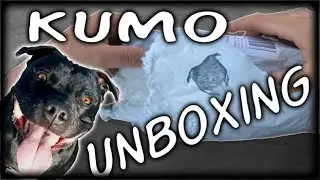 Unboxing Little Jack Sayoris, Tango Dancer, Jatsui Zoro y Black Minnow