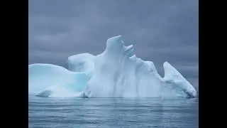 Zodiac Cruising in Antarctica