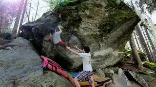 Magic Wood 7Bs & Cs