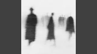 chasing shadows