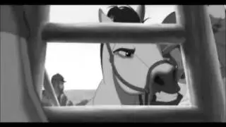 Animash // Stay Home // Self