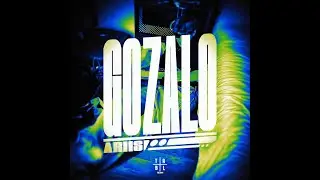 Ariis - Gozalo