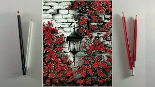 How to Draw Using Charcoal and Color Pencils