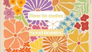 How to make Seed Bombs: YC Eco-club