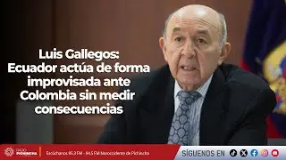 Luis Gallegos | Ecuador actúa de forma improvisada ante Colombia sin medir consecuencias