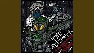 Autopsy