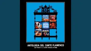 Tangos flamencos (2015 Remastered Version)
