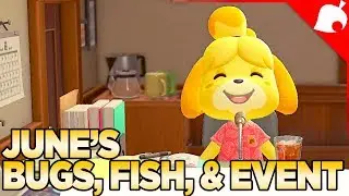 My Break & June's Bug and Fish Event for Animal Crossing New Horizons 39