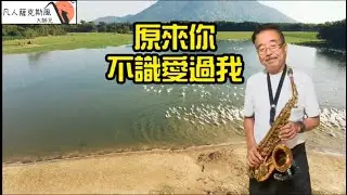 原來你不識愛過我-朝陽薩克斯風