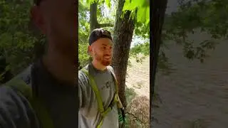 Perfect Tree Stand Location 2