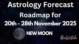 🌑NEW MOON November 20th - November 28th 2025 | Astrology Forecast BioWitch Channel