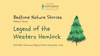 Legend of the Western Hemlock | Bedtime Nature Stories