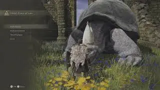 HOW TO USE ACADEMY SCROLL ELDEN RING&trade;