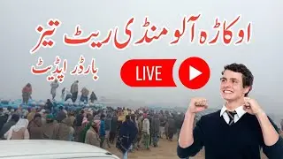 Potato Prices Surge 2026 | Pak Afghan Border Update | Export Crisis & Supply Chain Impact