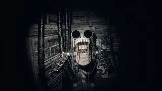 How do the ENDOS enter the Attic? (TJOC:SM)