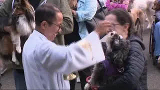 Pets baptized at 40th annual 