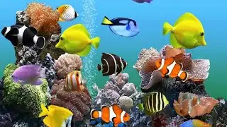متحف الأحياء المائية//قلعة قايتباى//مكتبة الاسكندرية /من تصويري