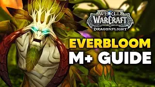 EVERBLOOM Season 3 M+ Guide and Dungeon Walkthrough | Dragonflight Patch 10.2