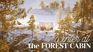 Winter Magic at the Forest Cabin - Baking, Cottagecore Christmas - Slow Living Vlog
