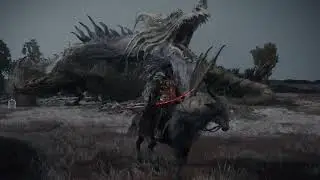 Elden ring NG+ what happens when you wake up Greyoll
