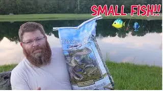Farm pond with small fish- Should we try fish food?