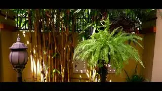 Cinematic Movie Test Konova Slider & Canon 80D 1080p By Adri Humam