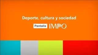 Pantalla IMPO 2017