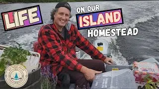 Жизнь на нашем частном острове Wilderness Island Homestead | MY WILD HOLM - Сезон 2, Эпизод 19