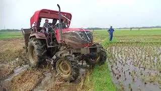 SOLIS 5015##4WD TOLI DEMO