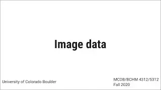 Image data