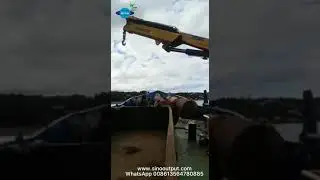 Marine crane
