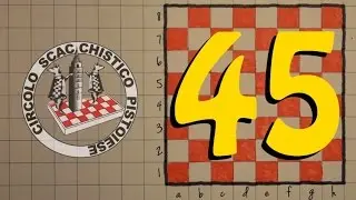 Scacchi, Quaderno di Tattica 45 - Il Finale di Reti